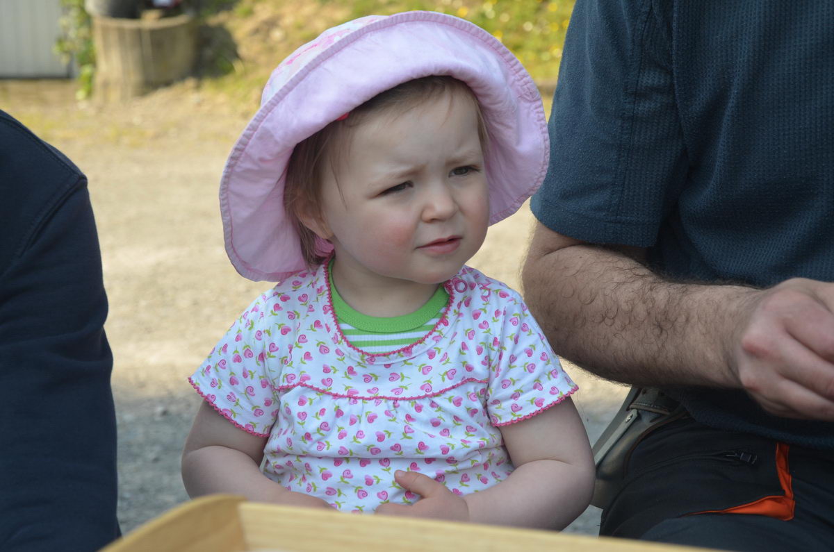 2013-06-08 Vereinshaus 40.jpg